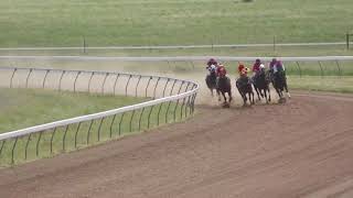 Blackall 20260228 Race 5