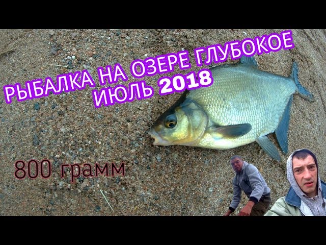 Рыбалка на озере Глубокое (Ленинградская область) - лучшие места и советы