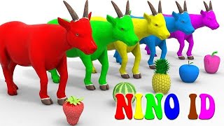 cartoon video For Kid | animals cartoon and most entertainment for kids | Nino Id For Kid | Cartoon