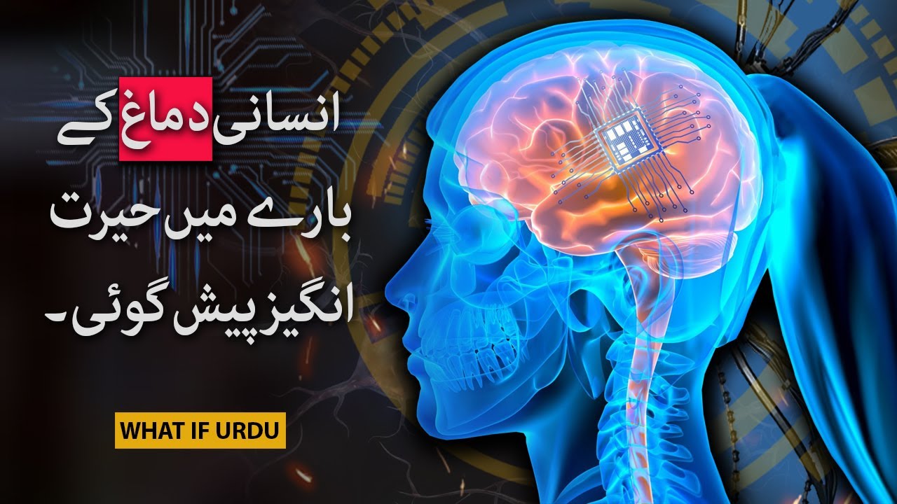 What if Neurallink Chip Becomes Successful? | What if Urdu | اُردُو