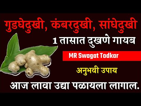 तासाभरात सांधेदुखी दूर करणारा लेप | डॉ स्वागत तोडकर गुडघेदुखी उपाय | dr swagat todkar gudaghedukhi