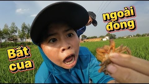 Bắt Cua Ngoài Đồng • 1 Buổi Trải Nghiệm Thú Vị • Kỹ Năng Sống 💗 Lộc TiVi