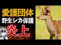【疑問】動物愛護団体が野生の子鹿を保護→その後◯亡…問題は？