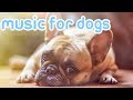 NEW Relaxing Music to Calm Your Dog! [2019]