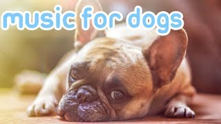 NEW Relaxing Music to Calm Your Dog! [2019]