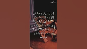 آيات خاشعة من سورة آل عمران للقارئ مصطفى جيد