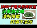 1種葉子是天然“養肝寶”，沒事泡水喝，清肝排毒，肝病不來擾【侃侃養生】