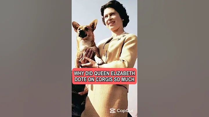 Why did Queen Elizabeth dote on corgis so much #royal #Queen#Elizabeth#shorts