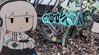 CHOCOL人´∀`ATE!!! / 羽累