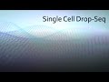 Intro to Single Cell Drop-Seq