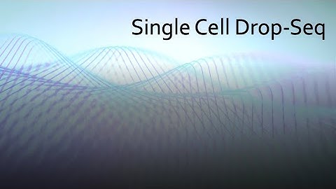 Intro to Single Cell Drop-Seq