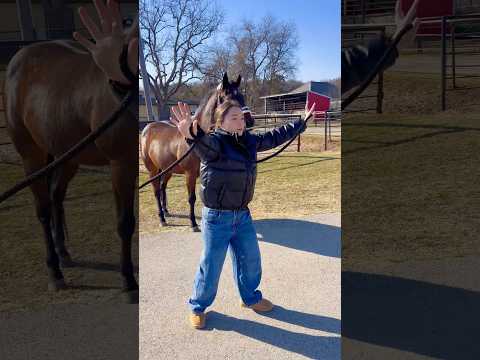 Beginner Vs Experienced Horse Owners! 🐴 #shorts #animals