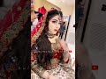 چارۆکە سور تۆبە بێ حەسەن زیرەک بولبولی کوردستان چارۆکە سور تۆبە بێ حەسەن زیرەک بولبولی کوردستان