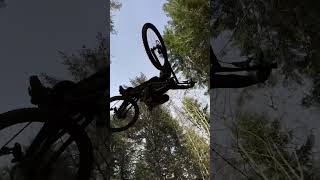 Beautiful Tabletop On A DH Nukepoof Bike 🤯 #shorts #mtb