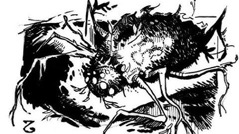 Dungeon Crawl Classics -  Yddgrrls Maze: Part 2 (DCC Actual Play)