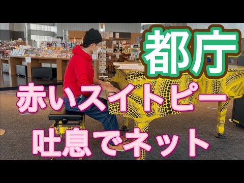 2023.1.16 霧の都庁でピアノ演奏 赤いスイトピー/松田聖子 吐息でネット/南野陽子