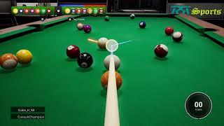 Brunswick Pro Billiards playing 8 ball pool