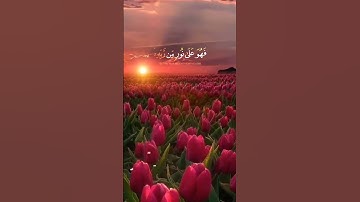 أفمن شرح الله صدره للإسلام فهو على نور #القرآن الكريم #سورة الزمر#جوهرة القرآن