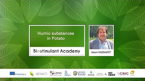 Biostimulant in Potato