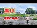 【鮎釣り】場荒れ気味の黒川釣行
