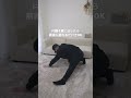 足痩せ&大転子すっきり✨✨股関節ストレッチpart② #骨格9タイプ診断 #into9