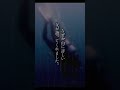 【海にまつわる不思議な話】海に立っている〇体#shorts