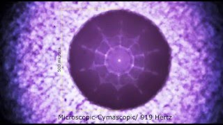 Micro cymatics experiment with a sonically-excited sessile water drop