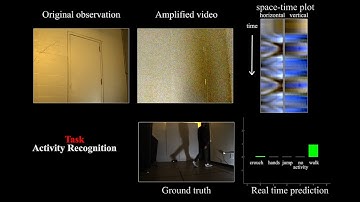 What You Can Learn by Staring at a Blank Wall