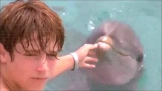 Flipper - Scena Finale