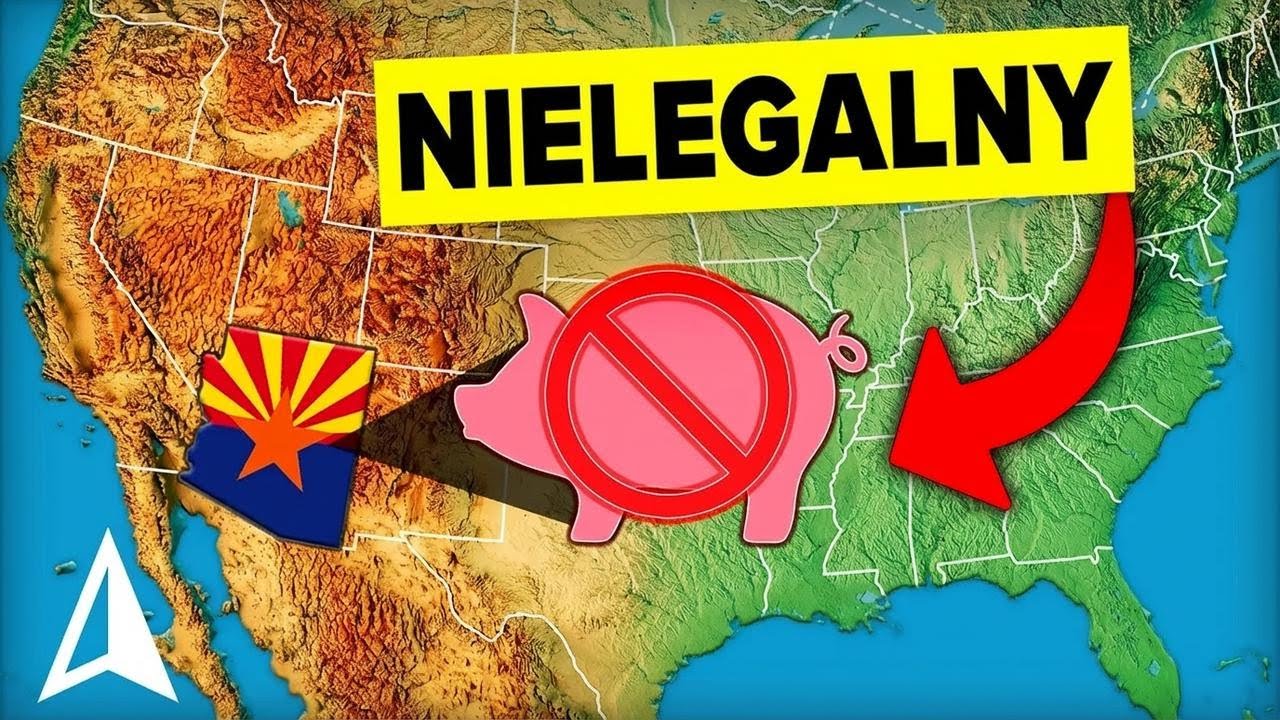 50 dziwnych amerykańskich praw, w które aż trudno uwierzyć, że są prawdziwe