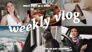 WEEKLY VLOG: Cheap Dinner Recipes, VIVAIA Haul, Flight Attendant Trips & More by Brieana Young 3,034 views 4 months ago 19 minutes