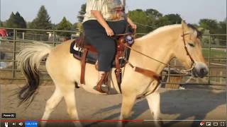 Discussing Large Horse Riders - Clues That A Horse Is Not Comfortable Discussing Large Horse Riders - Clues That A Horse Is Not Comfortable