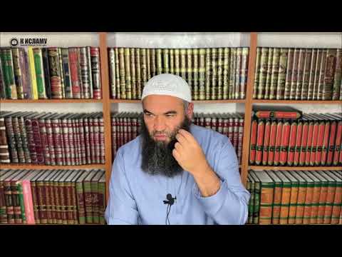 Спасают ли бои без правил молодёжь от нечестия?