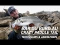 Fiiish  pche du bar du bord au crazy paddle tail