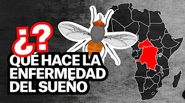 ¿Es la enfermedad de Chagas una enfermedad del sueño?
