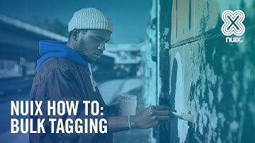 Nuix Investigate - Bulk Tagging