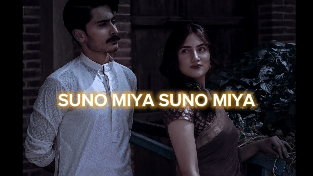 SUNO MIYA SUNO MIYA TUM HO DIWAANE... (SLOWED/REVERB)