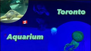 Riley’s aquarium   TORONTO with Cristiano !! / [09052024]