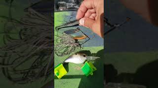 PreSpawn Bass LuresZMan Slim Swimz, War Eagle, 6th Sense Curve 55 #shorts #youtubeshorts