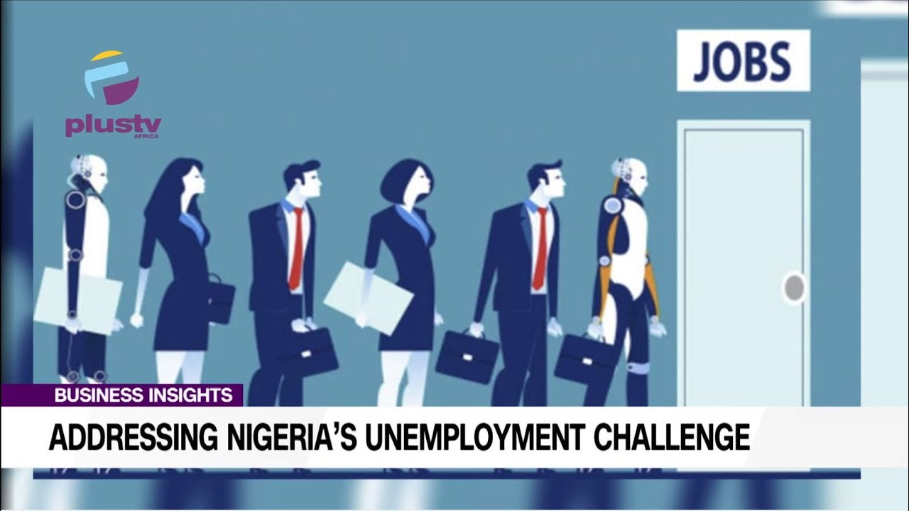 Addressing Nigeria's Unemployment Challenge | BUSINESS INSIGHTS