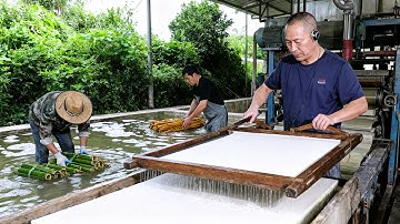 From Bamboo to Paper An Amazing Transformation of Material