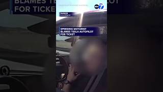 Speeding motorist blames Tesla autopilot for ticket