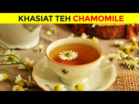 Luar Biasa ! 7 manfaat teh chamomile untuk kesehatan