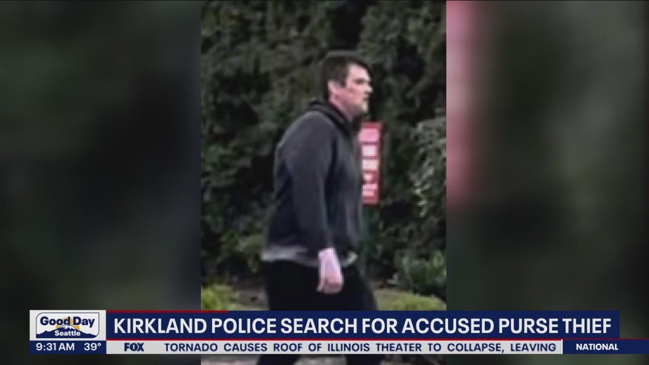 Kirkland Police search for accused purse thief | FOX 13 Seattle - YouTube