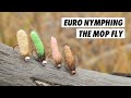 Does fly fishing with the mop fly actually work  euro nymphing my local river