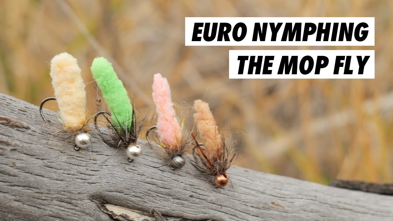 Does Fly Fishing With The MOP FLY Actually Work? // Euro nymphing my