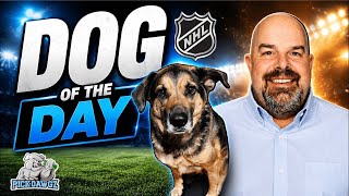 NHL Picks and Predictions for Today 10/7/2026 | Dawg of the Day 