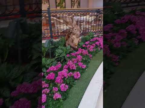 Inside Tropicana Casino!