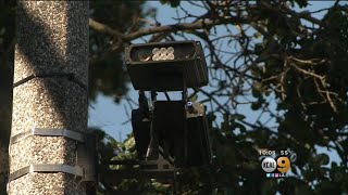 Federal Agents Have New Way To Find And Arrest The Undocumented