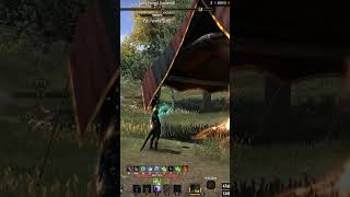 AD arsonist pays the ultimate price | using my quester hunter build